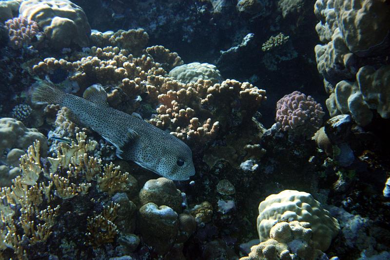 07 EG-02 099.JPG